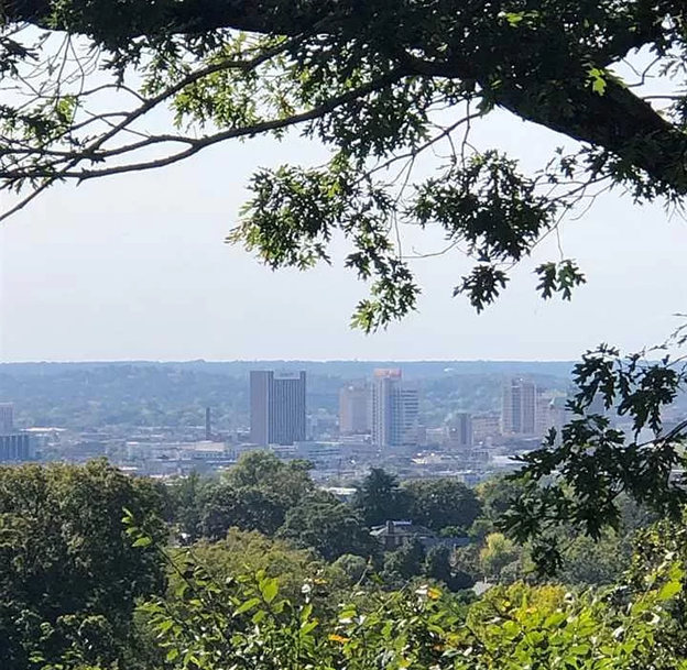 Altamont Road Scenic Drive Porsche Parade 2024